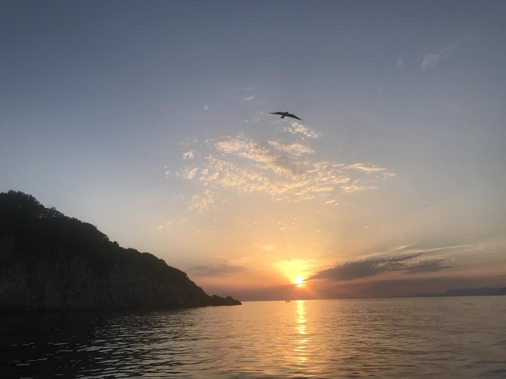 אוטייהא Odore Di Mare מראה חיצוני תמונה